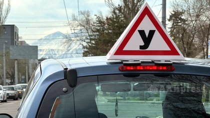Driving schools to hold classes 2-3 times a week - Presidential Administration