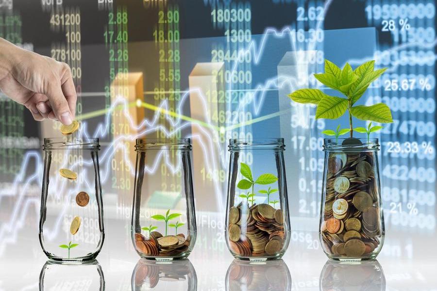 Microfinance portfolios in Egypt exceed $2.10bln, reaching 4.1mln clients by Q2 2025