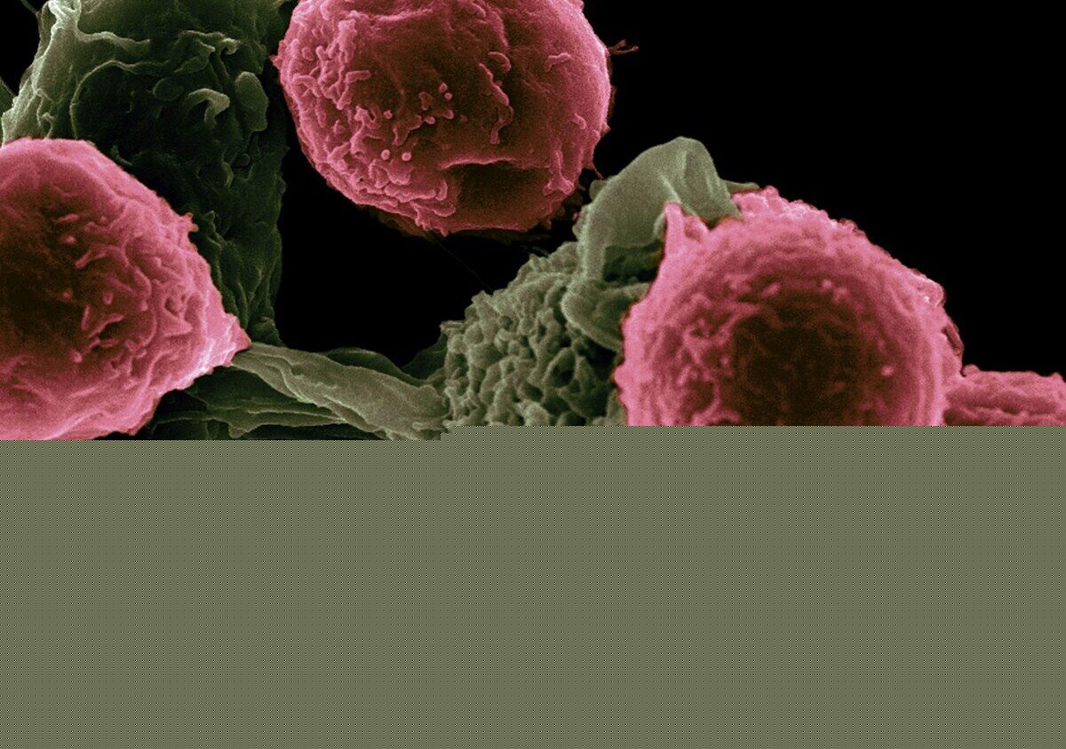 Blood markers reveal how air pollution may lead to lung cancer