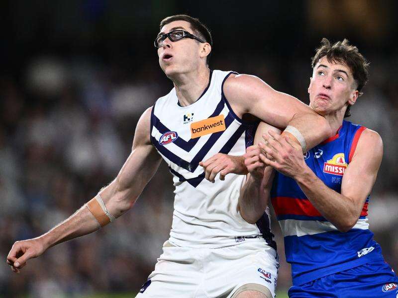 Bulldogs coach speaks on bombshell concussion case