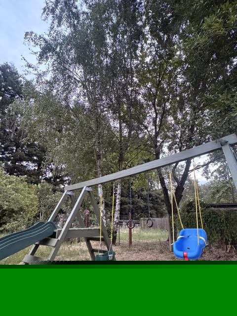 Comment on Secret Surprise Playground by Realz.us_Bonus