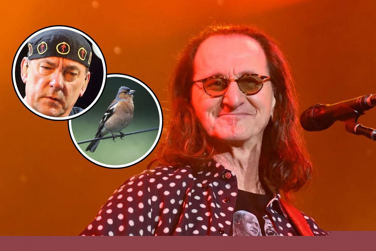 Geddy Lee Reveals 'Crazy' Sign of Neil Peart on Rush's 2026 Tour