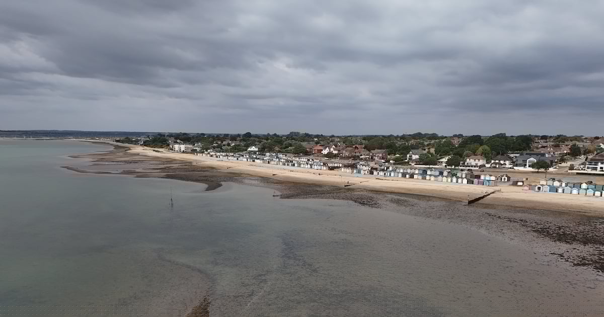 Mother and daughter died trying to save seven-year-old in water – family friend