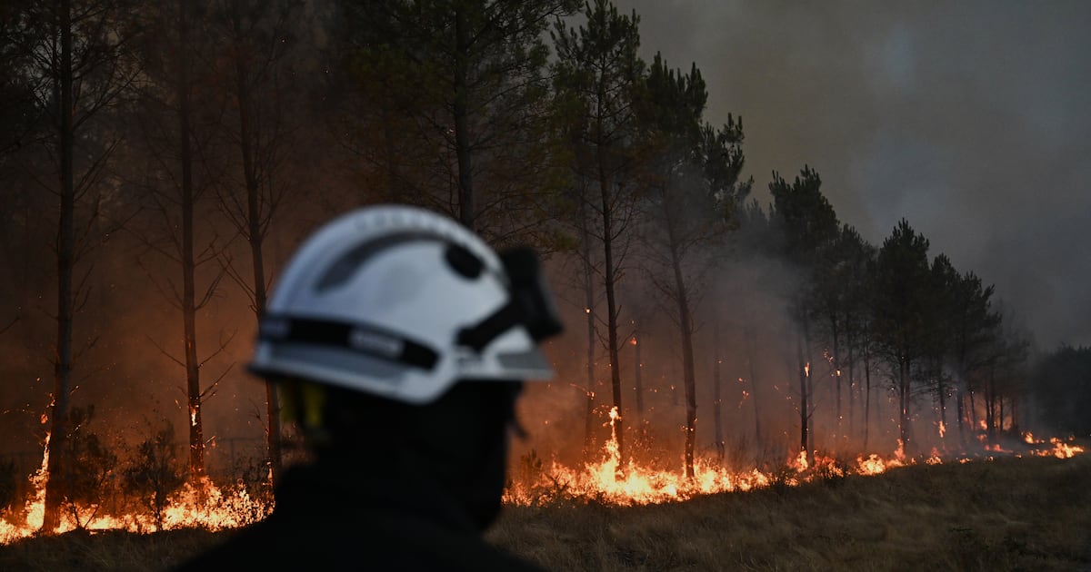 France says wildfire that forced 220,000 people to flee has stopped growing