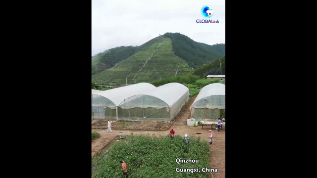 Cina, materiale di scavo diventa risorsa agricola nel Guangxi