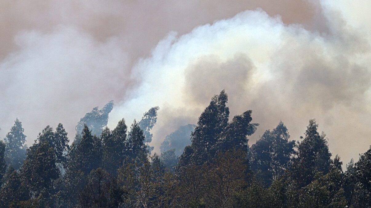 Incendios: Senapred solicita evacuar sectores de La Araucanía y decreta alerta roja en comunas de la región