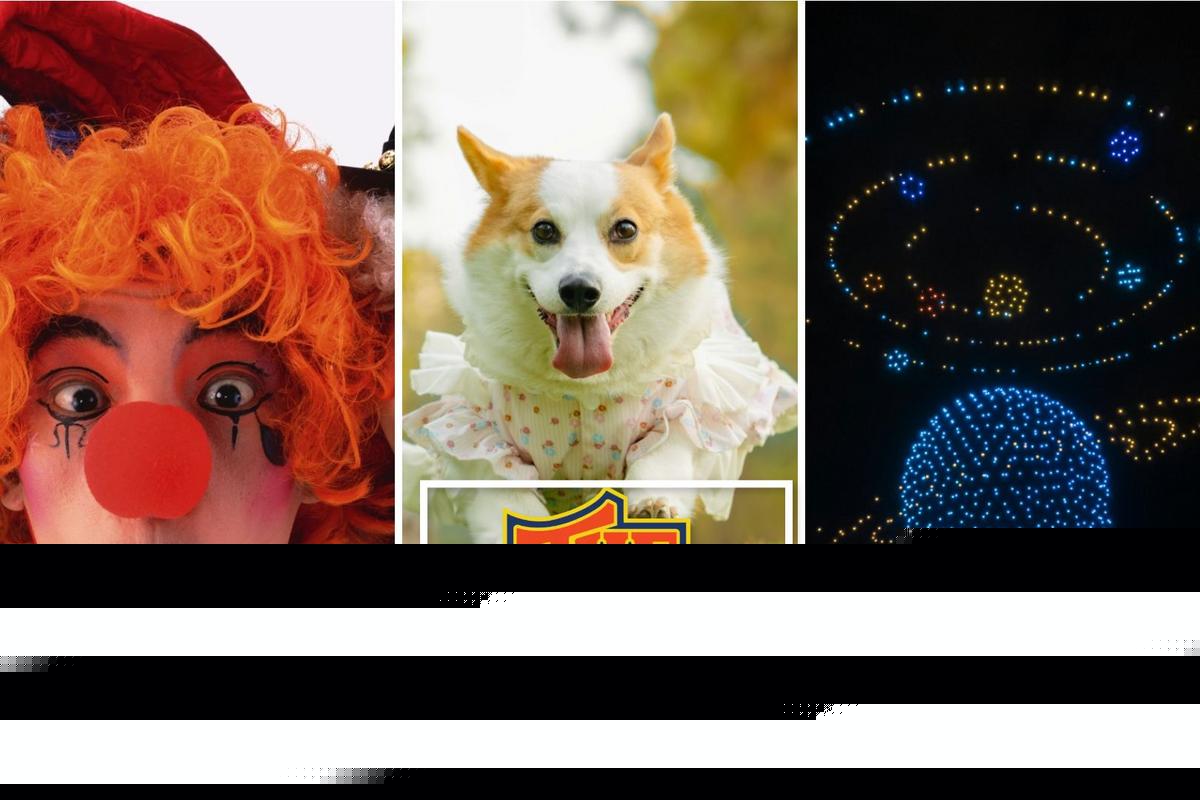 New York State Fair Adds Adorable and Amazing New Entertainment
