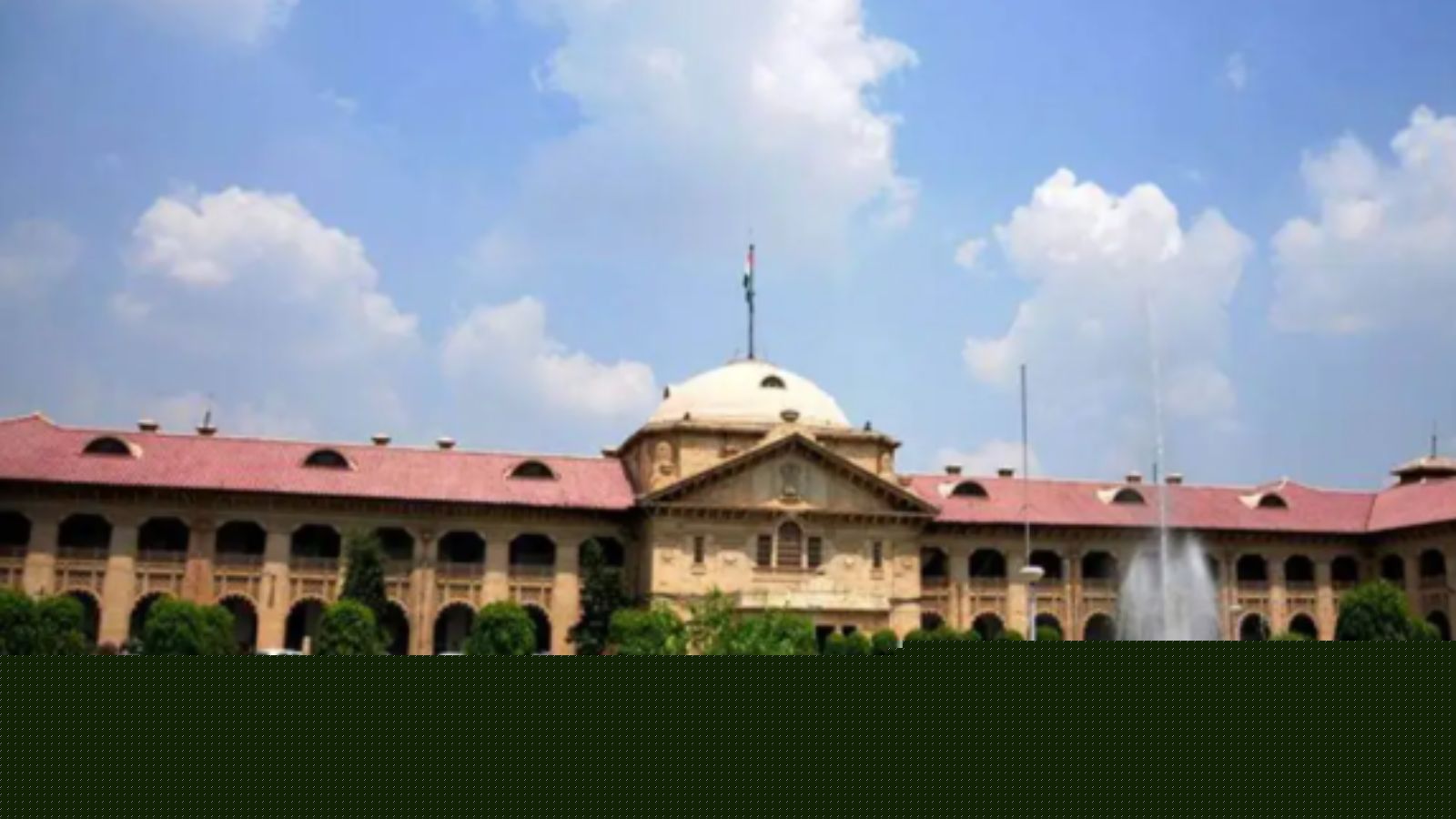 ‘Police have no business being nosy parkers, should investigate crimes, not marriages’: Allahabad HC