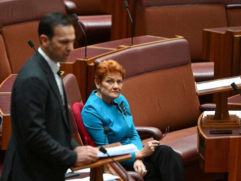 One Nation edges back in front in federal poll