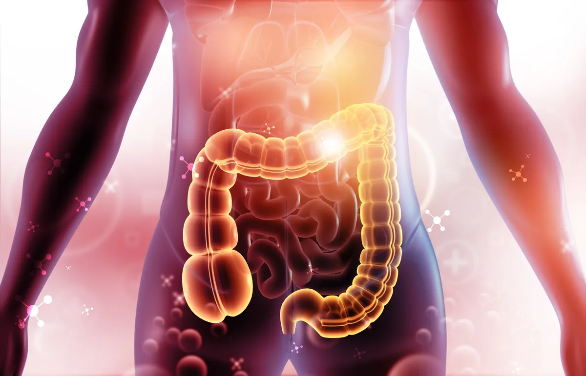 Najbolji napitak za zdravlje creva, prema gastroenterolozima