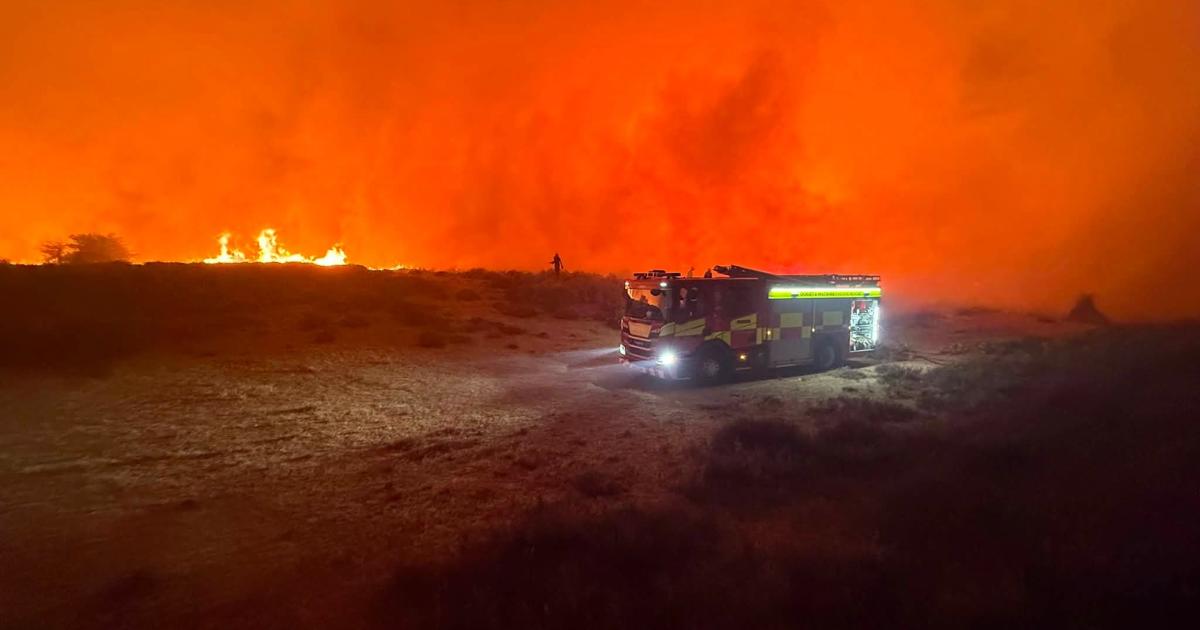 Latest: A31 to remain closed as firefighters tackle wildfire