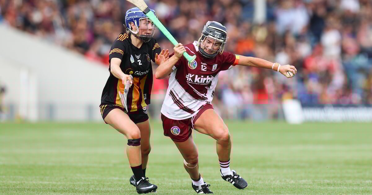 Holders Galway show all their experience to see off Kilkenny