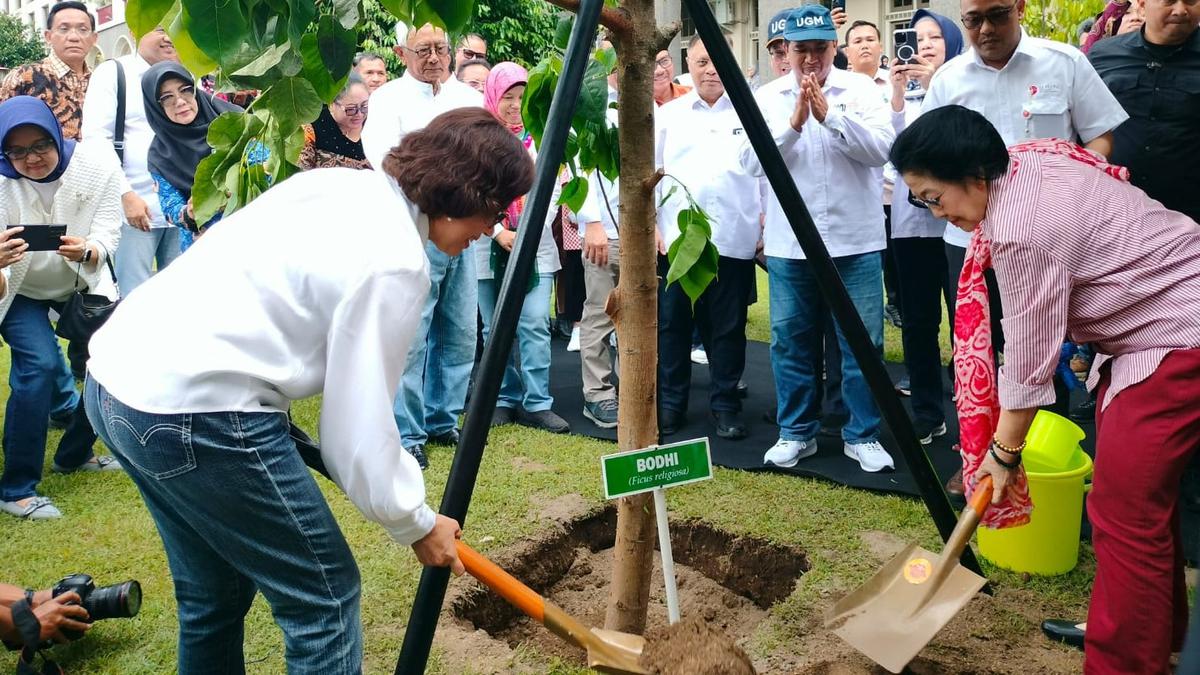 Megawati Tanam Pohon Bodhi di UGM, Ini Maknanya