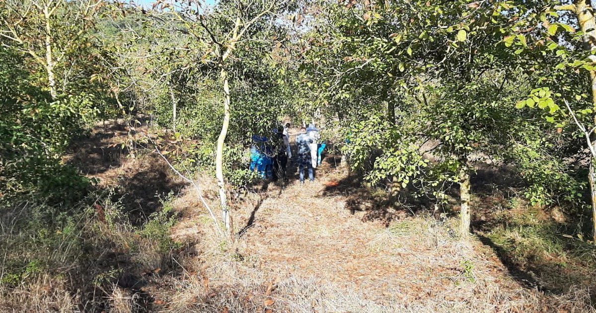 Messina, strage di cacciatori nel bosco: "Chi è sotto torchio"