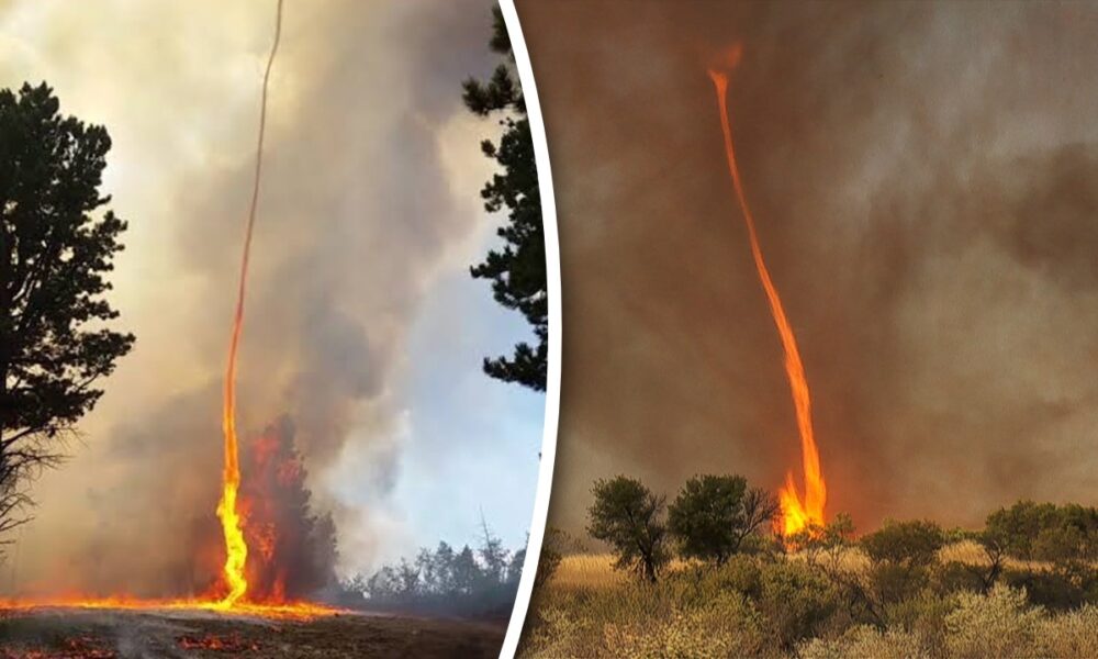 Europa se confruntă cu fenomenul tornadelor de foc. Incendiile de vegetație sunt tot mai greu de contracarat
