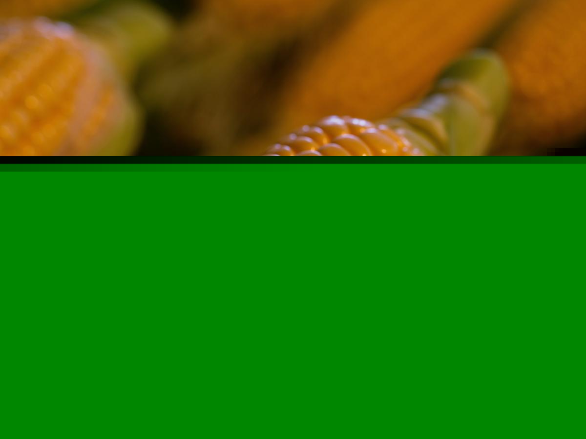 The Ultimate Guide to Every Event at the 2026 Eden Corn Festival