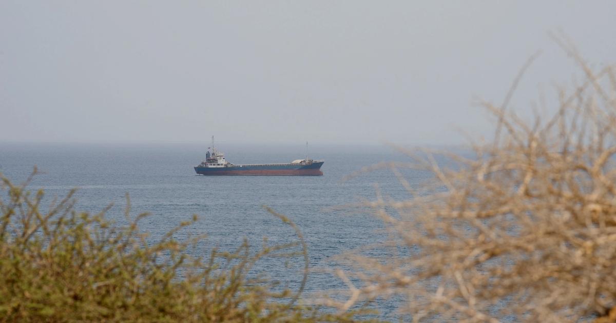 Hormuz risk pays off for shippers as profits soar