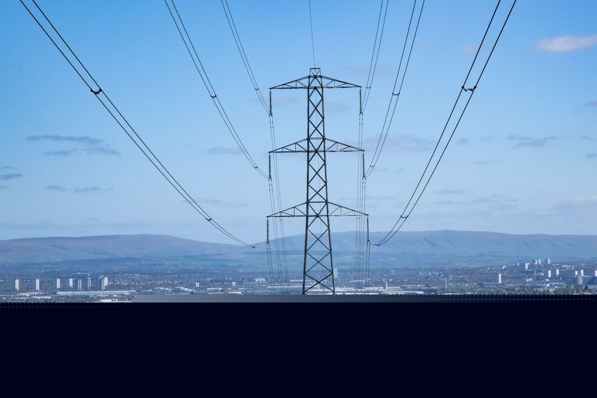 Electricity grid operator cancels power call ahead of eclipse