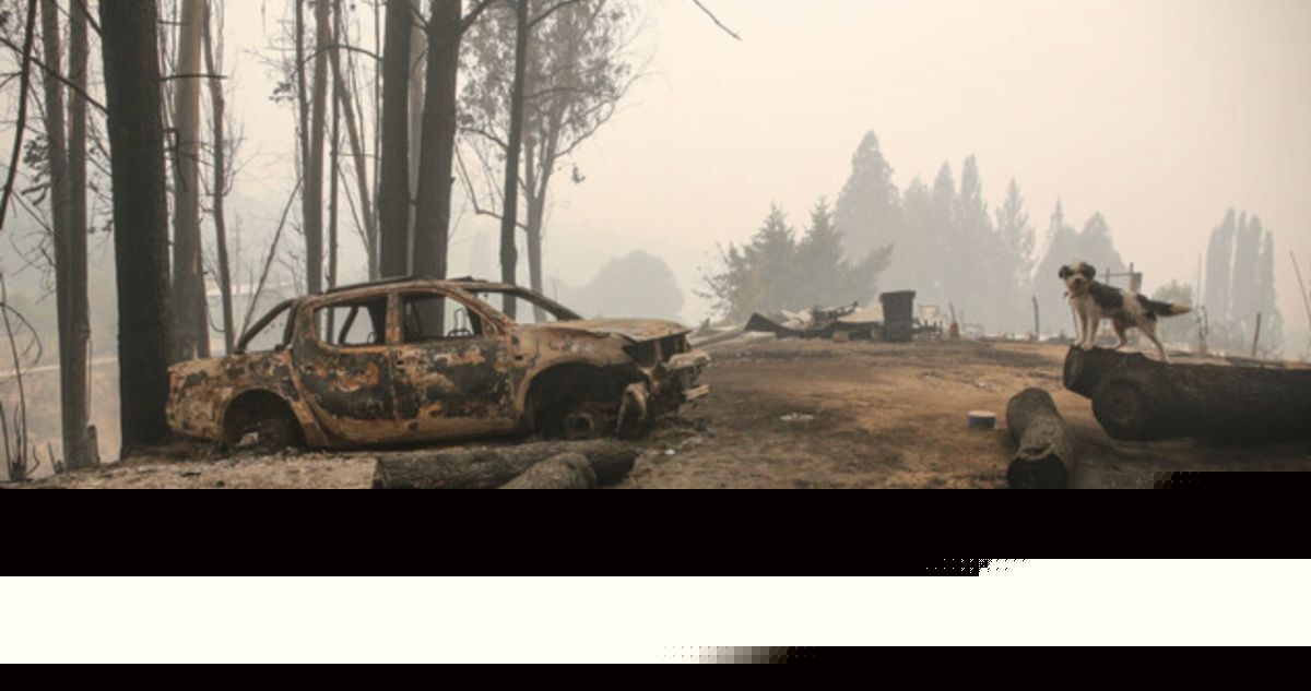 Justicia ordena a Fiscalía cerrar la investigación sobre megaincendio de 2023 en el Bío Bío
