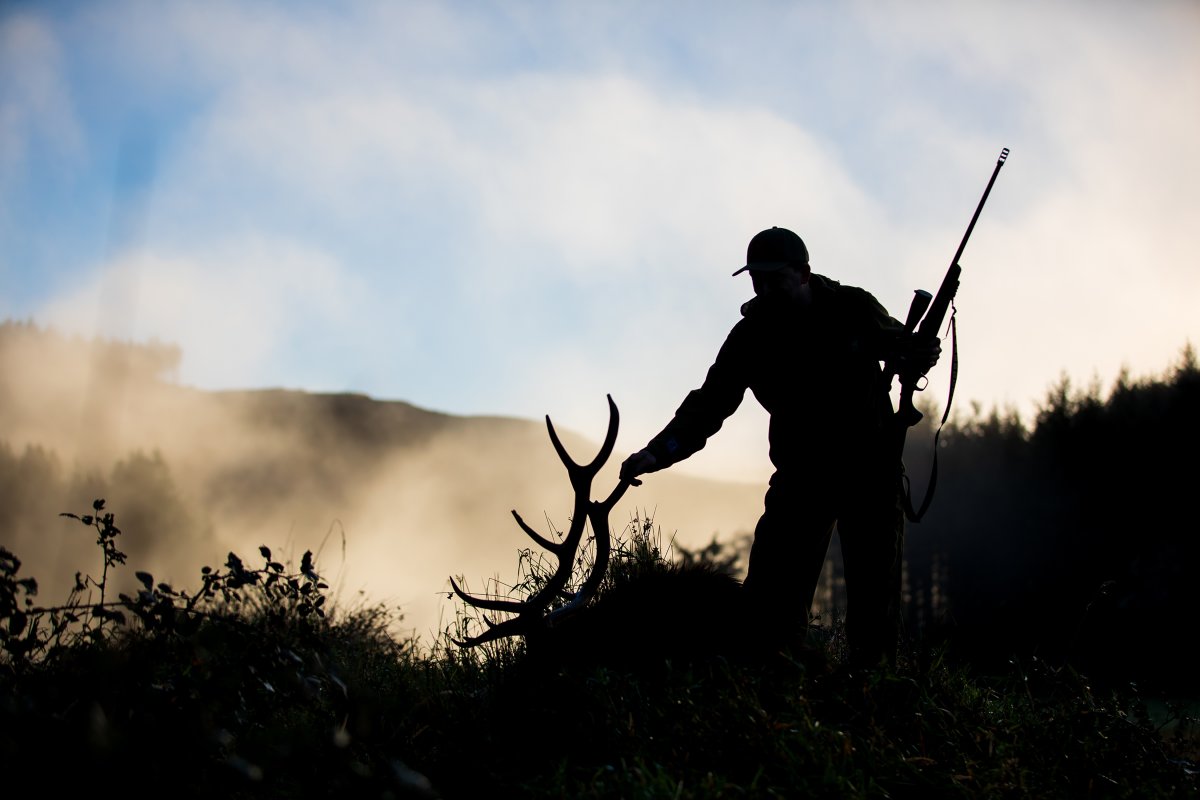 I’ve Hunted Elk for 50 Years. Here’s How It’s Changed (and How It Has Stayed the Same)