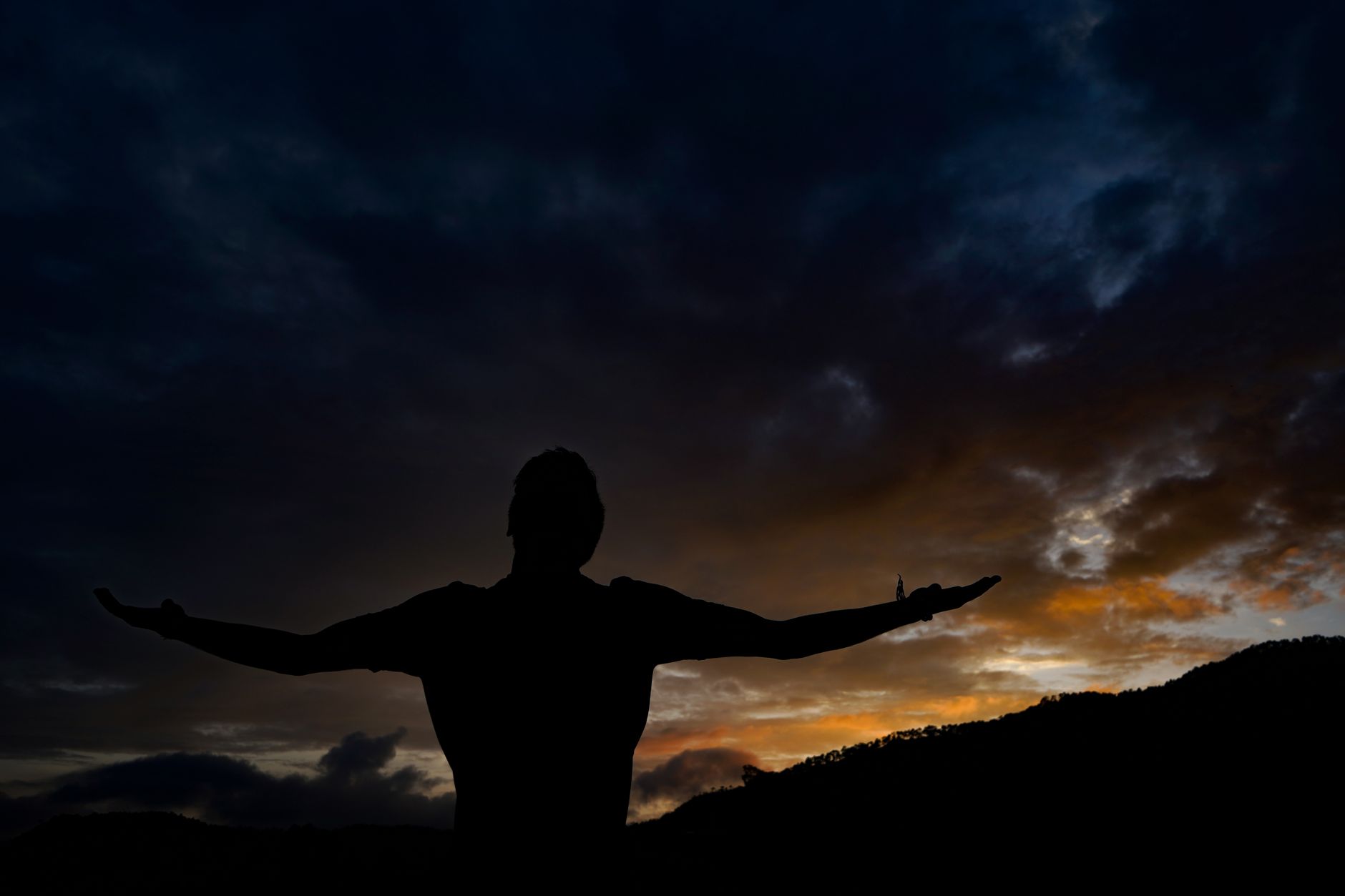 Joy behaves less like luck than like a skill: in the research, people who deliberately savor good moments and go looking for awe report more of it, which suggests the art of joy is mostly a matter of where you point your attention