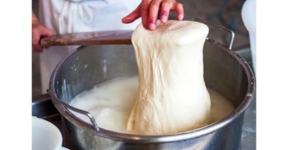 Saputo Cheese USA Laying Off 240 Workers