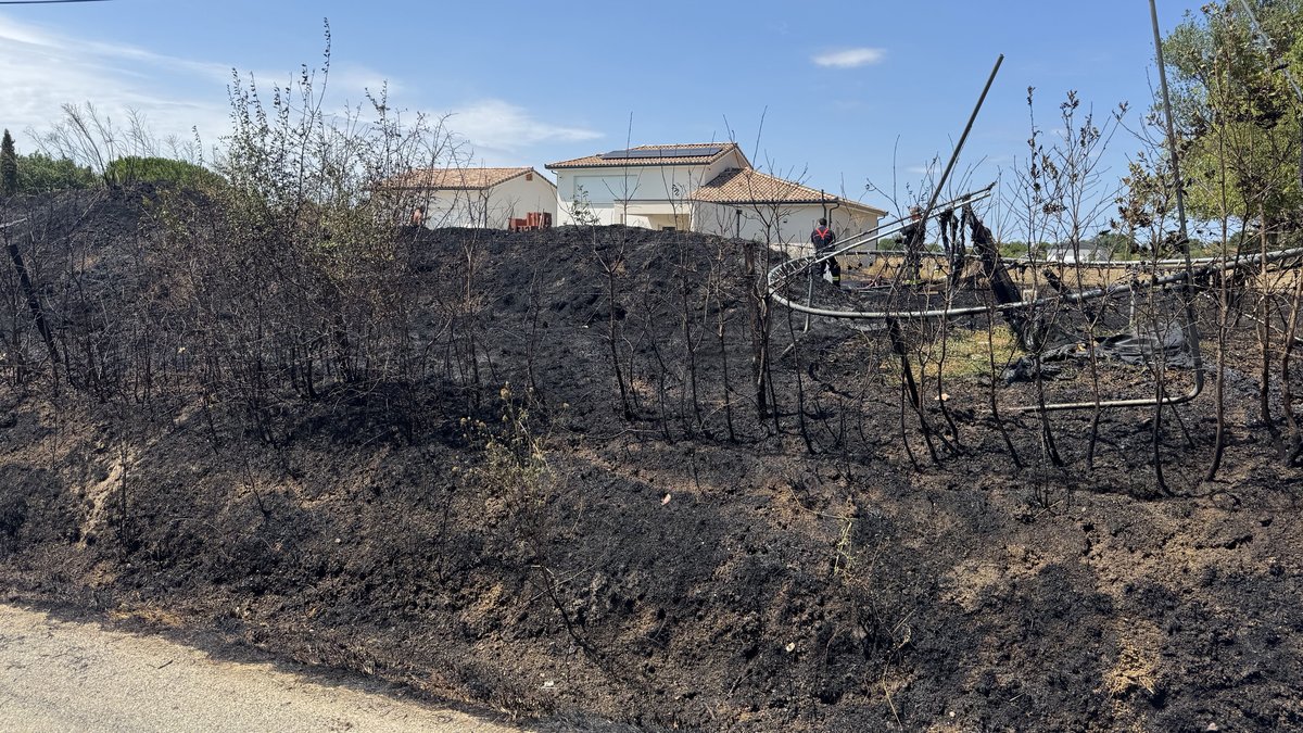 Terrains mal entretenus : l’appel de la mairie de Montauban à défricher face au risque d'incendie fait réagir les habitants