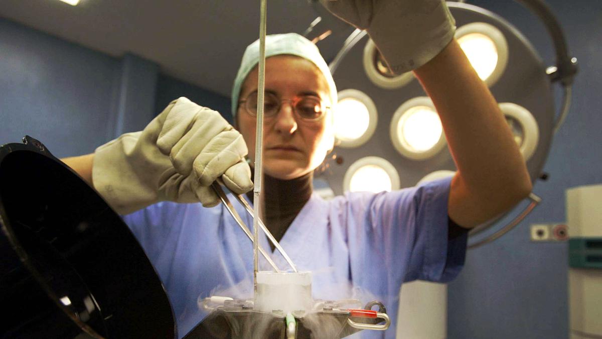 Social freezing, la Regione stanzia 600 mila euro per congelare gli ovociti. «Così aiutiamo le donne a preservare la fertilità»