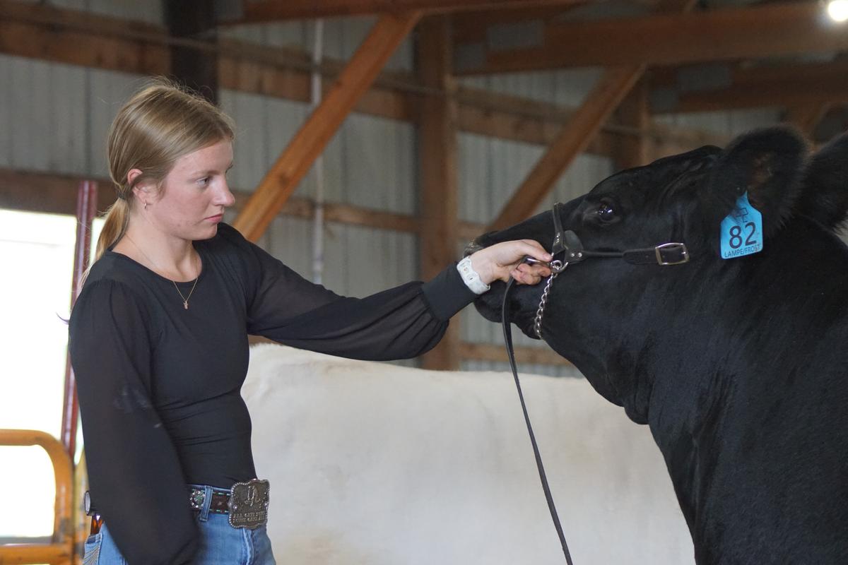 The Benton County Fair Kicks Off Tuesday With Ribbons Already On The Line