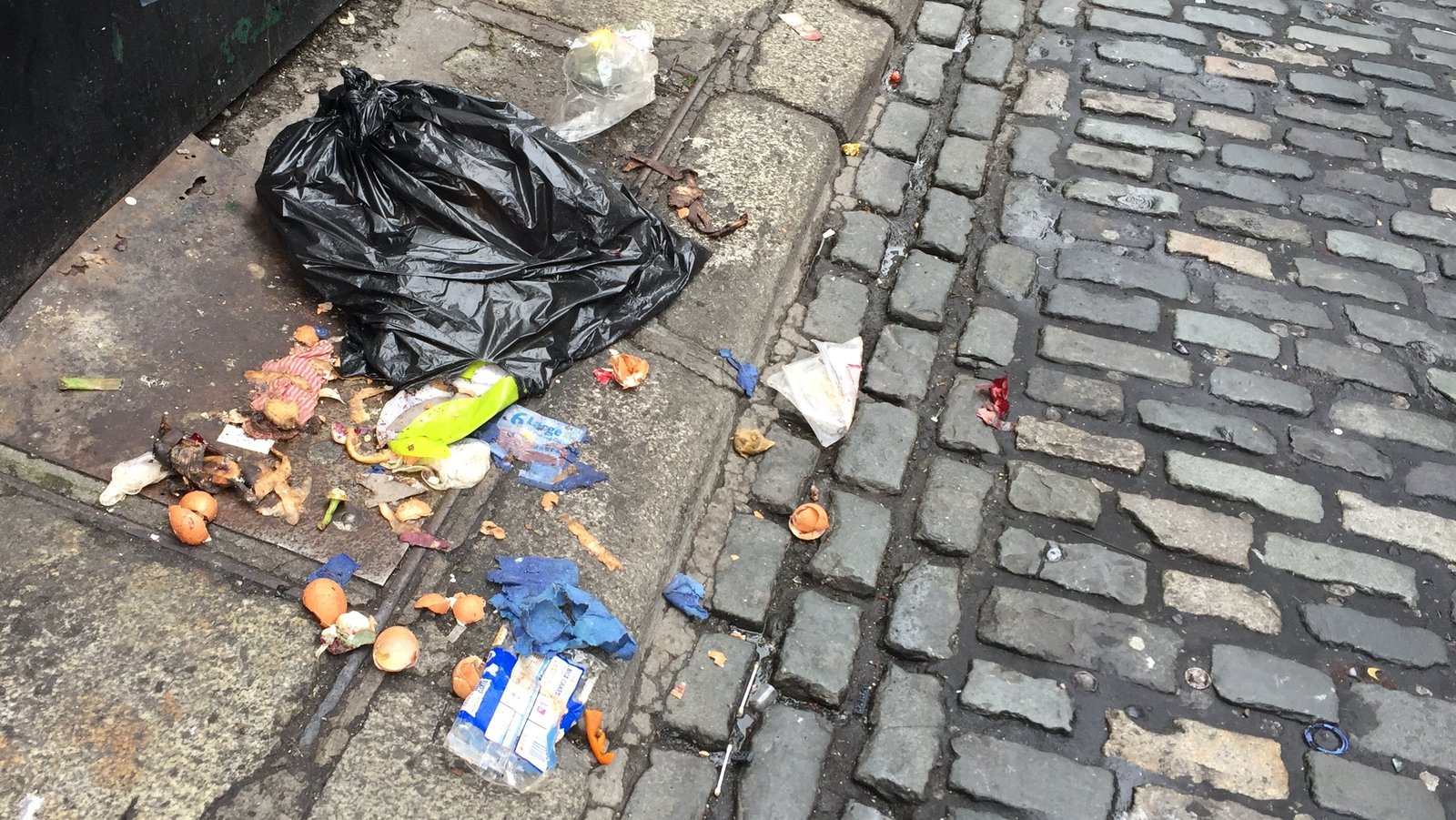 Almost 20 fines issued for littering in Limerick so far this year