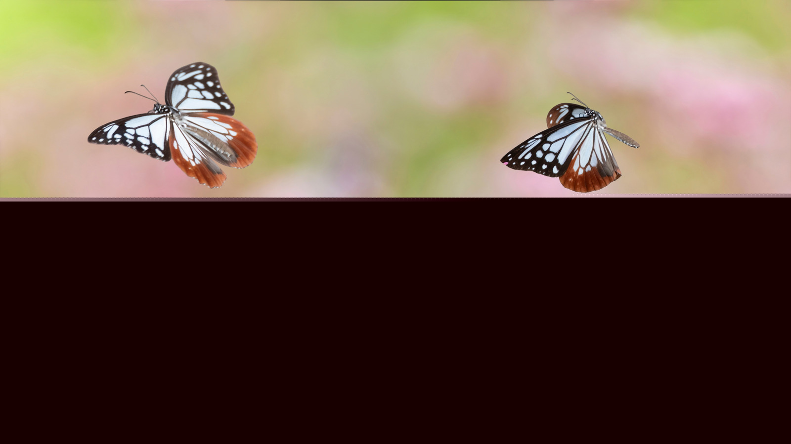 Support Backyard Butterflies With An Adorable Amazon Find That Doubles As Garden Decor