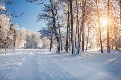 AccuWeather Releases Spring Forecast For New York State