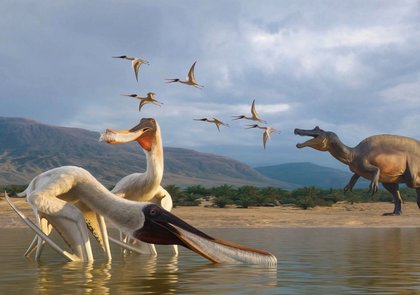 Fossilised vomit reveals the use of filter feeding in pterosaurs 110 million years ago