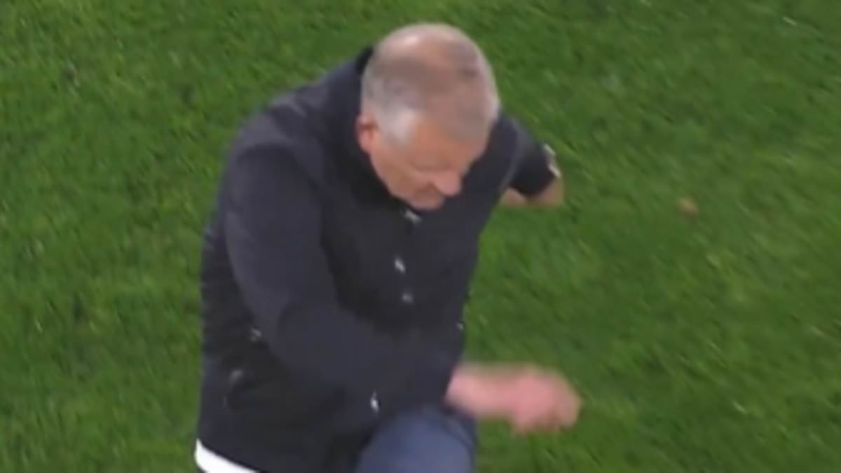 Bizarre scenes as Sheffield United boss Chris Wilder is sent off for booting ball at a FAN in moment of madness