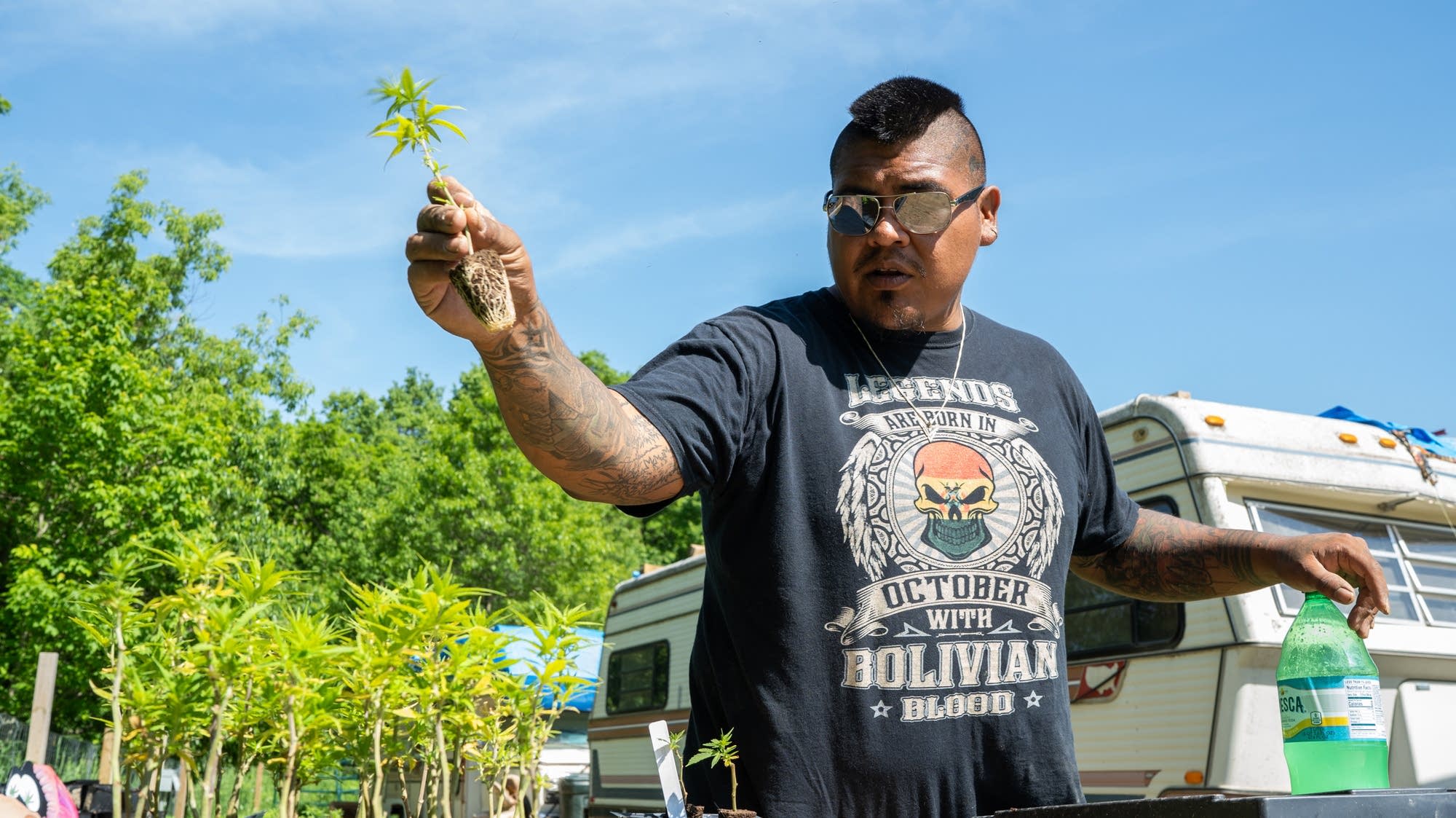 Senate votes to delay federal hemp ban in funding bill