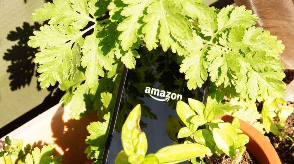 Video – Amazon Fire Phone Review