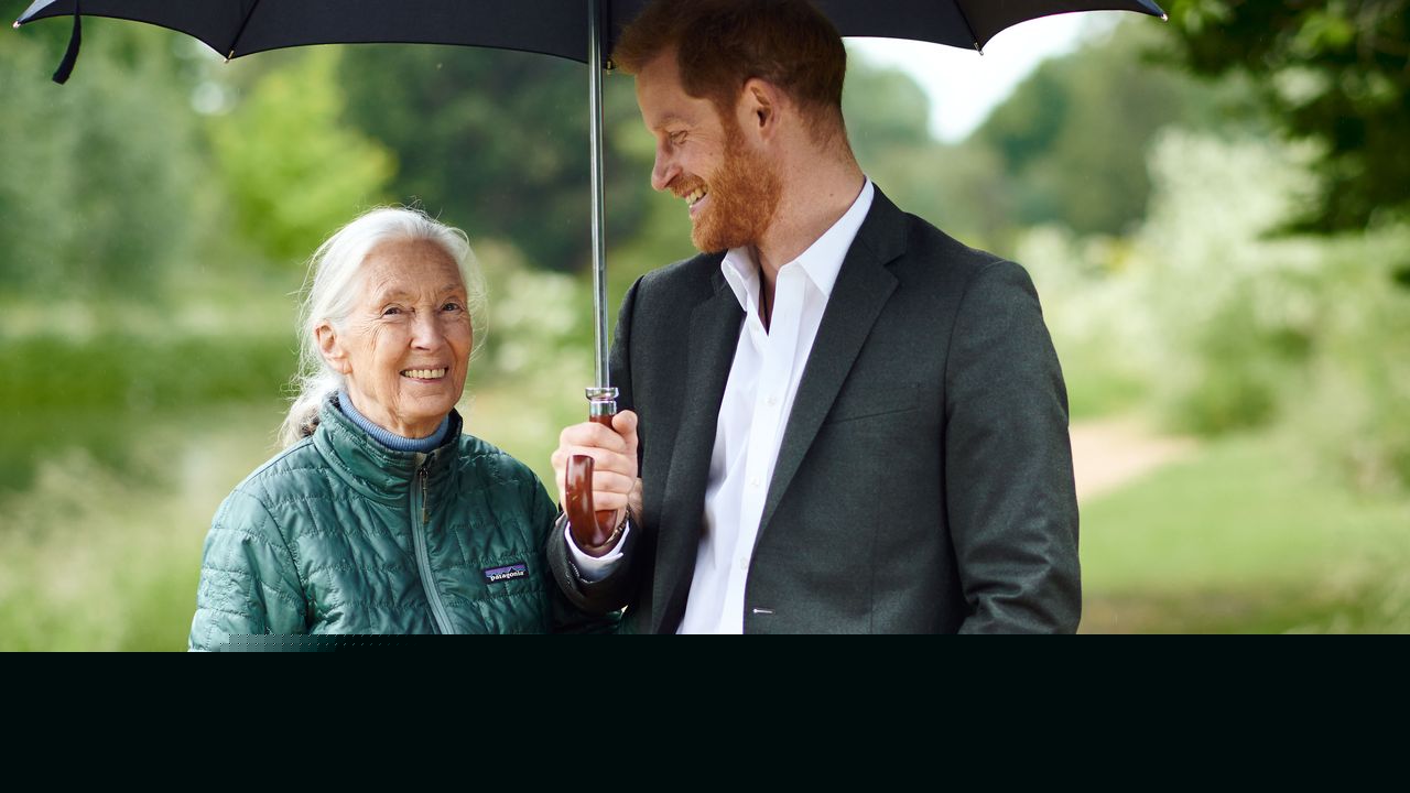 From The Archive: When The Duke Of Sussex Interviewed Dr Jane Goodall About The Future Of Sustainability