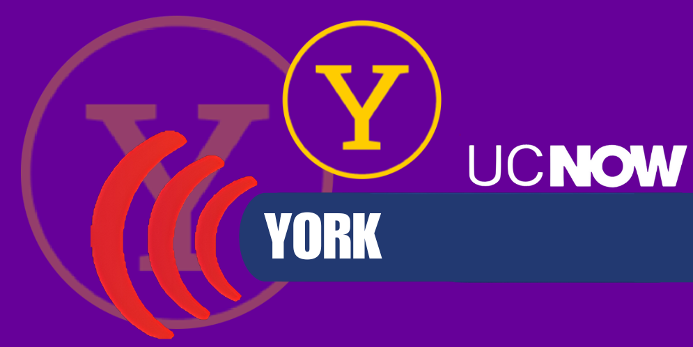 Pile Leads York With Shooting, Leadership Entering Postseason