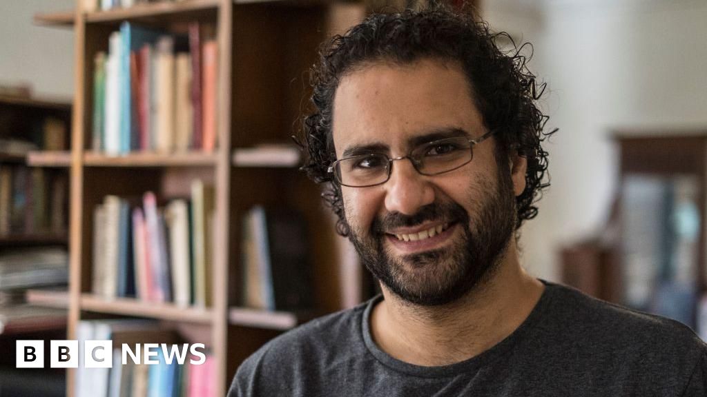 Egypt's president pardons British-Egyptian activist Alaa Abdel Fattah