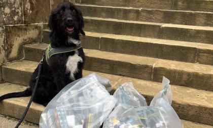 Officers seize thousands of pounds worth of illegal tobacco and cigarettes in Buckie and Elgin