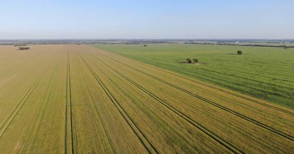 Gunn Agri to offload major 45,317 acre Border Rivers region aggregation
