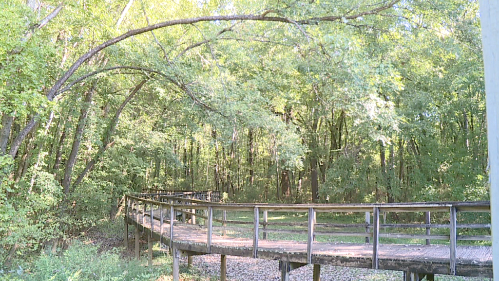 Cypress Grove Nature Park to celebrate 40 years Saturday