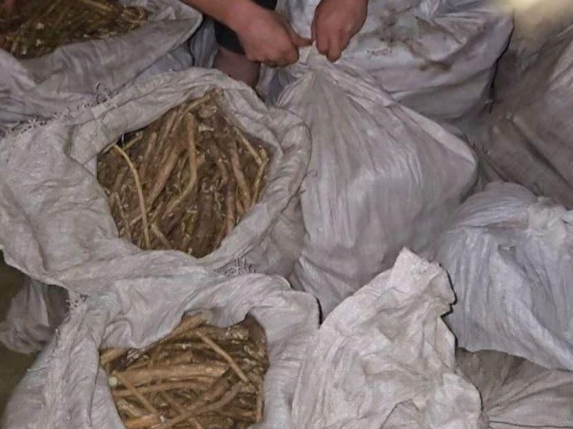 В&nbsp;КР&nbsp;намерены ввести наказание за&nbsp;незаконный оборот редких растений и&nbsp;животных