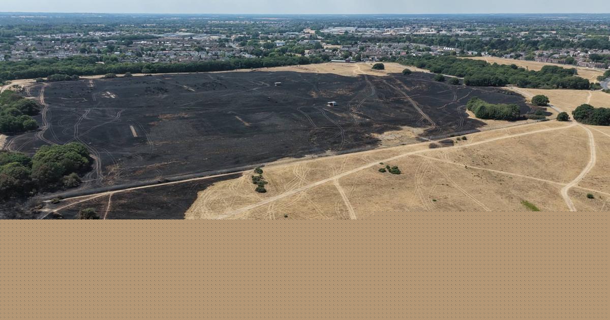 Fire service end investigation into two major wildfires at beauty spot