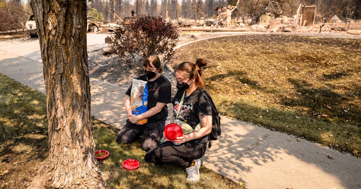 Seattle Humane supporting animal rescues in Spokane amid wildfires