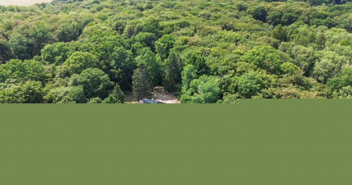 Secluded Oxfordshire home surrounded by woodland up for £2 million sale