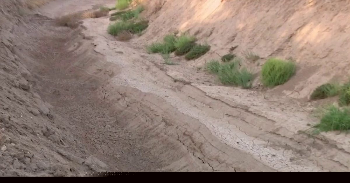 Arizona farmers warn Colorado River water cuts could raise prices on food, everyday goods