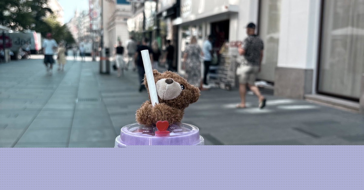 Teddycafé: Was aus den Hypes der letzten Jahre wurde