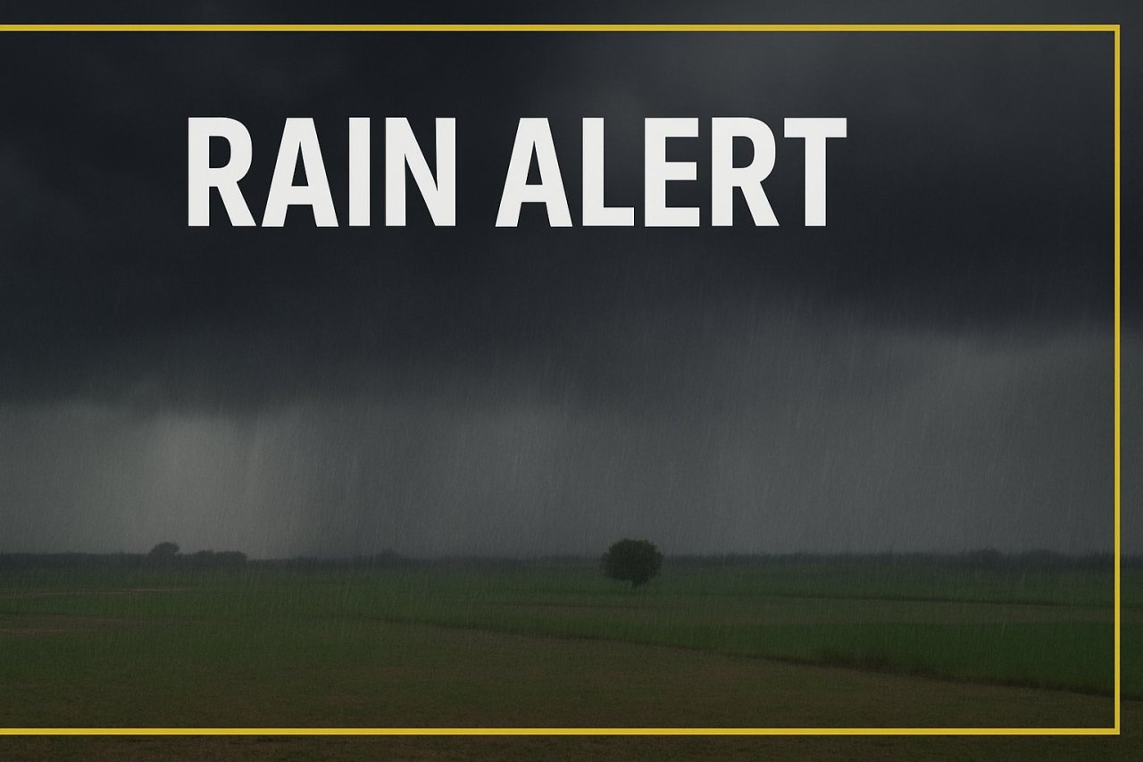 IMD Issues Yellow Alert for Bihar; Thunderstorms and Rain Likely in Several Districts