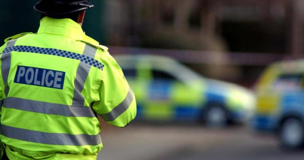 Investigation launched following allegation of sexual assault